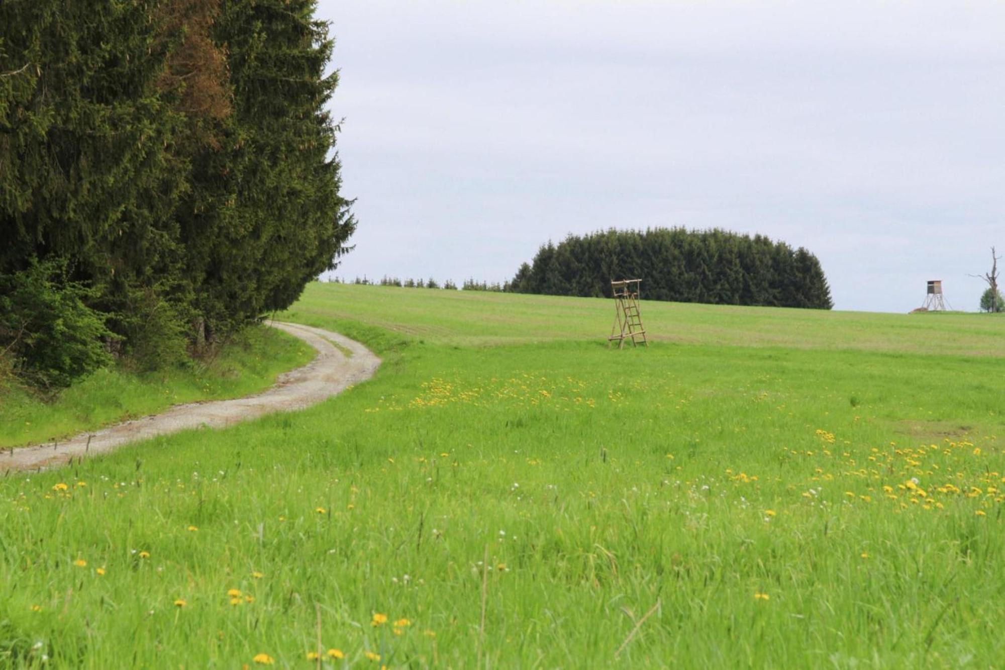 Apartment Braunlage Exteriör bild