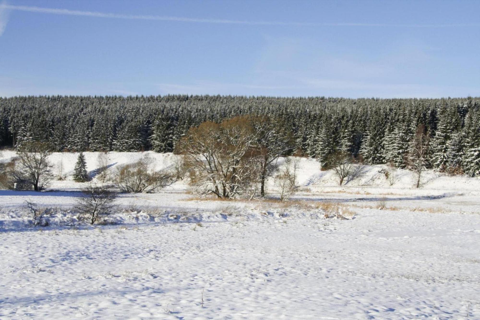 Apartment Braunlage Exteriör bild